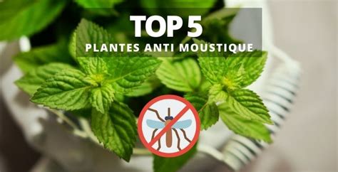 Bien utiliser les produits antimoustiques .